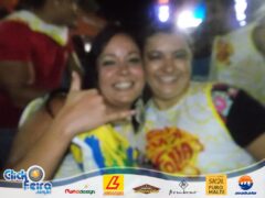 Bloco Skol Folia
